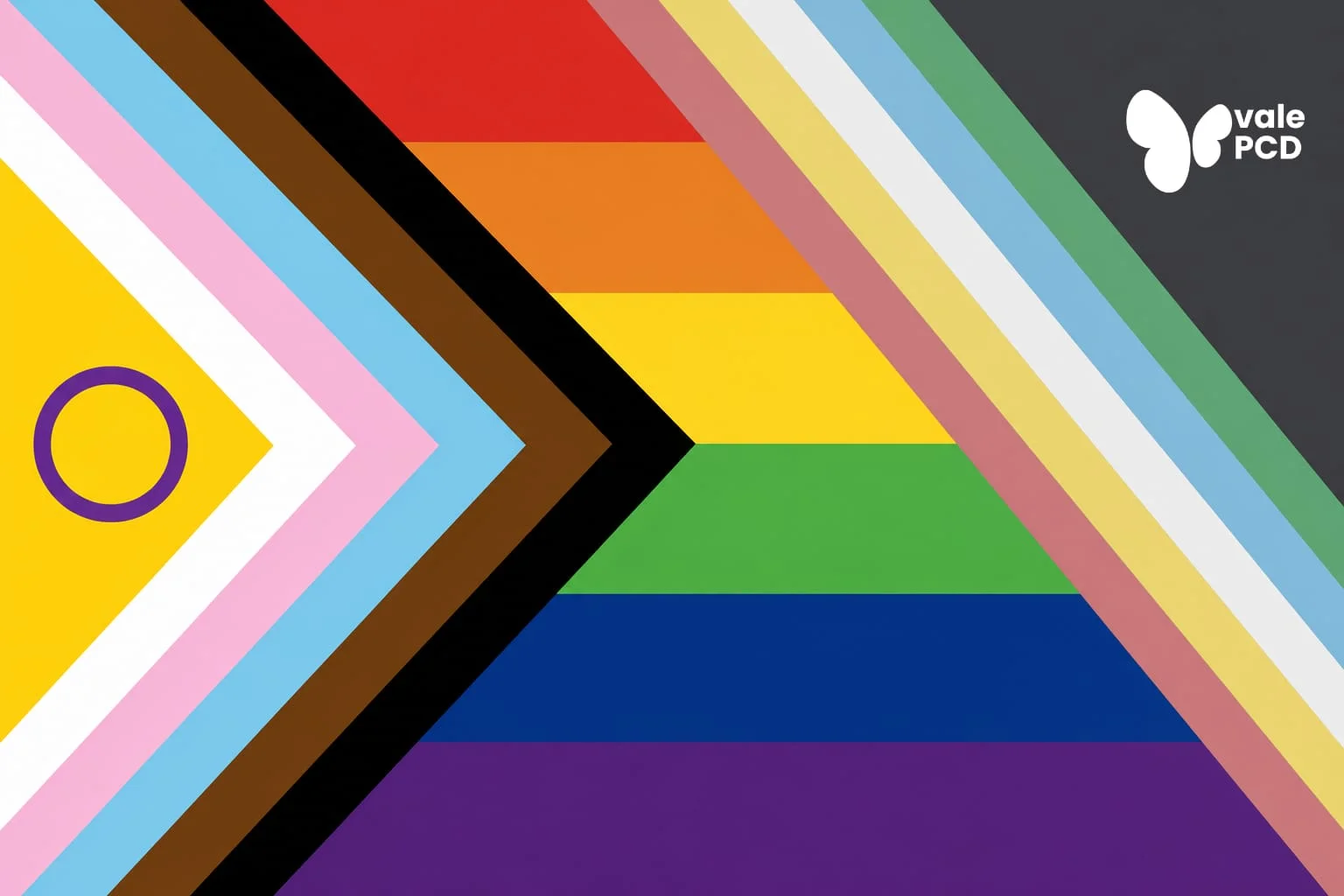 Bandeira do Orgulho PcD